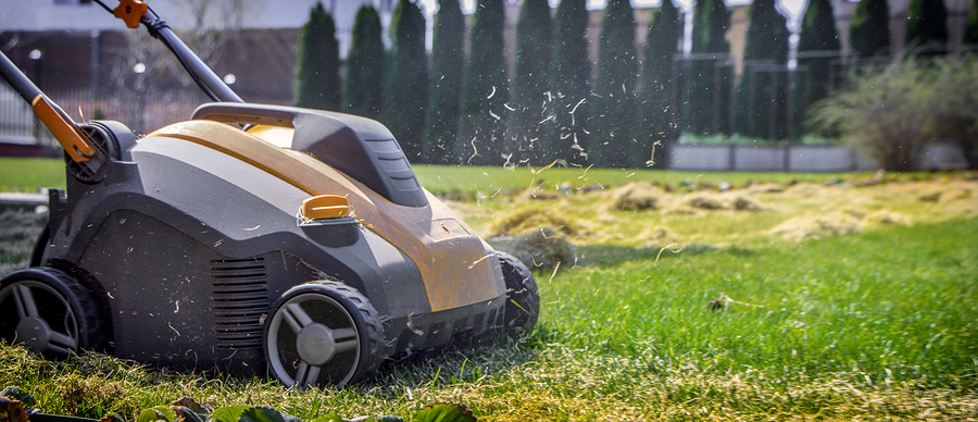 Aeration Of The Lawn In The Garden. Yellow Aerator On Green Grass