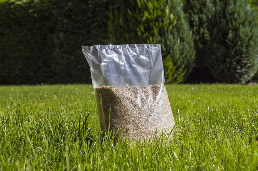 grass seeds in bag on top of lawn; overseeding